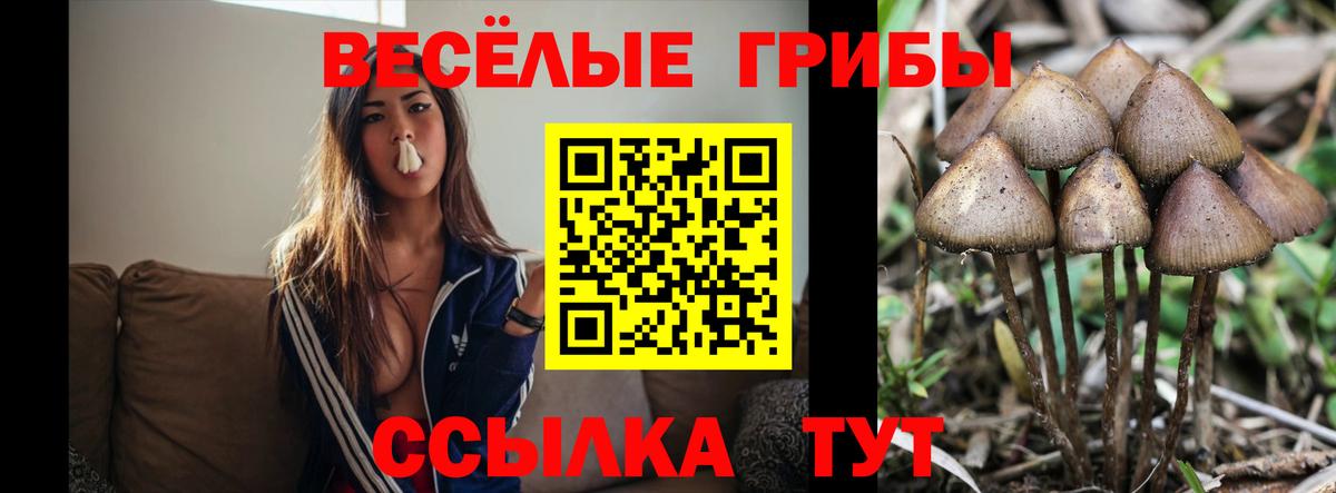Реутов  Галлюциногенные грибы GOLDEN TEACHER  Вход с VPN 